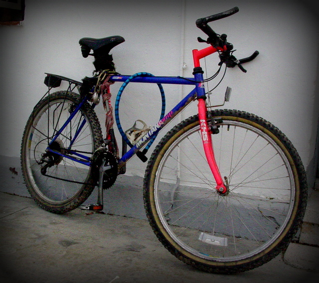 Izzy's Bike